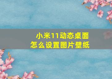 小米11动态桌面怎么设置图片壁纸