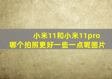 小米11和小米11pro哪个拍照更好一些一点呢图片