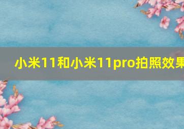 小米11和小米11pro拍照效果