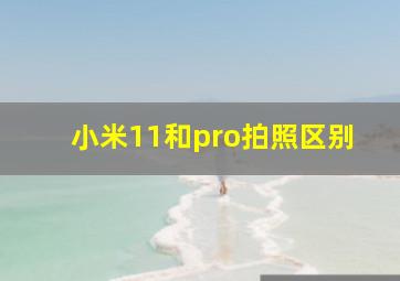 小米11和pro拍照区别