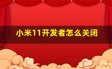 小米11开发者怎么关闭