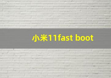 小米11fast boot