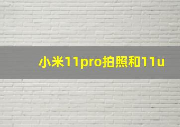 小米11pro拍照和11u