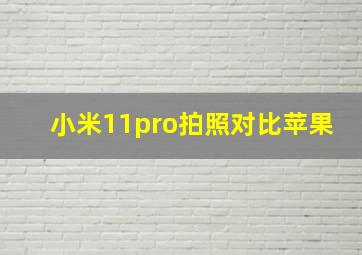 小米11pro拍照对比苹果