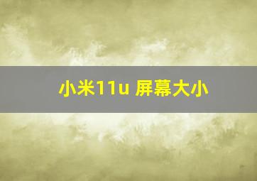 小米11u 屏幕大小