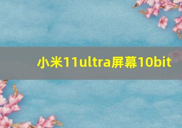 小米11ultra屏幕10bit