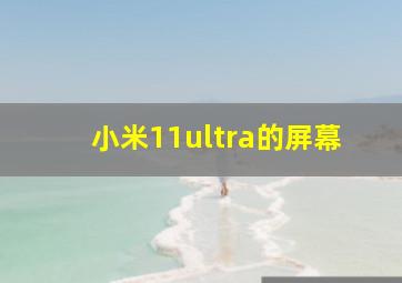 小米11ultra的屏幕