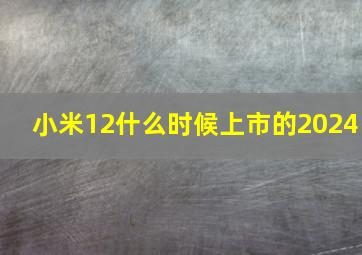 小米12什么时候上市的2024