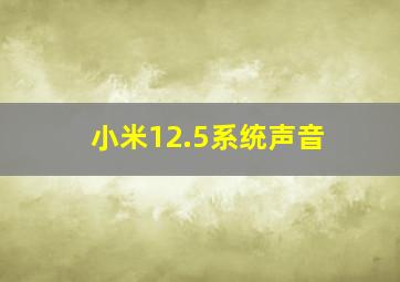 小米12.5系统声音