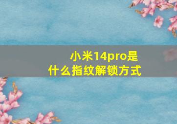 小米14pro是什么指纹解锁方式