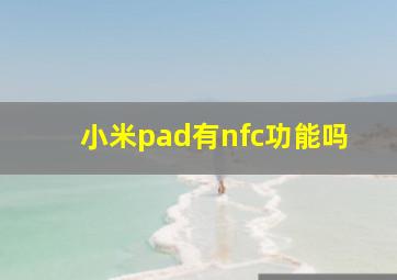 小米pad有nfc功能吗