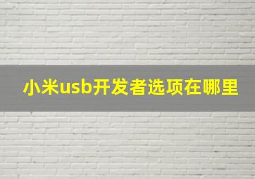 小米usb开发者选项在哪里