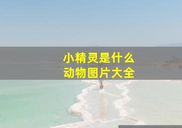 小精灵是什么动物图片大全