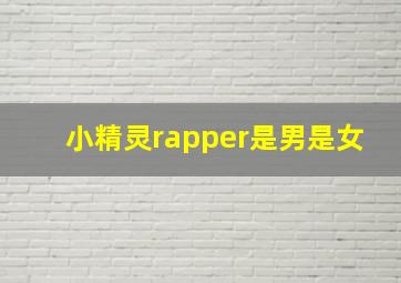 小精灵rapper是男是女