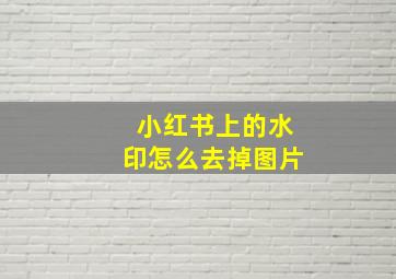 小红书上的水印怎么去掉图片