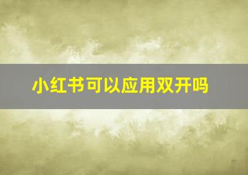 小红书可以应用双开吗