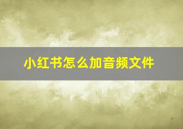 小红书怎么加音频文件