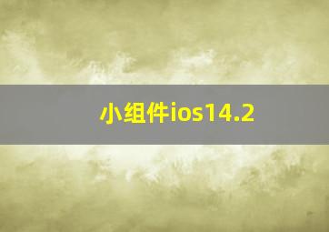 小组件ios14.2