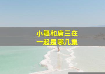 小舞和唐三在一起是哪几集