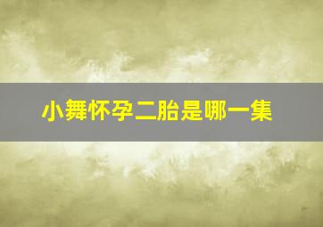 小舞怀孕二胎是哪一集