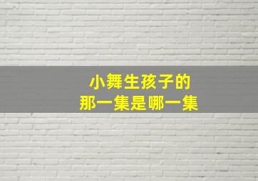 小舞生孩子的那一集是哪一集