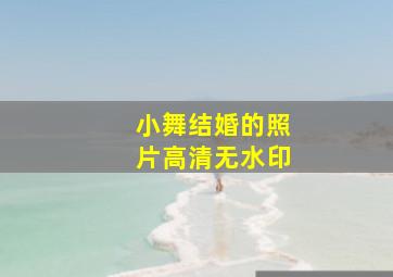 小舞结婚的照片高清无水印