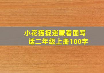 小花猫捉迷藏看图写话二年级上册100字