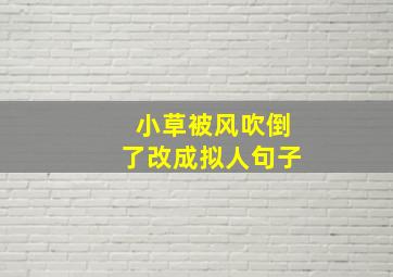 小草被风吹倒了改成拟人句子