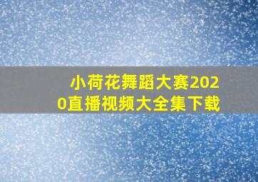 小荷花舞蹈大赛2020直播视频大全集下载