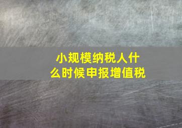 小规模纳税人什么时候申报增值税