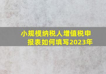 小规模纳税人增值税申报表如何填写2023年