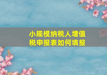 小规模纳税人增值税申报表如何填报