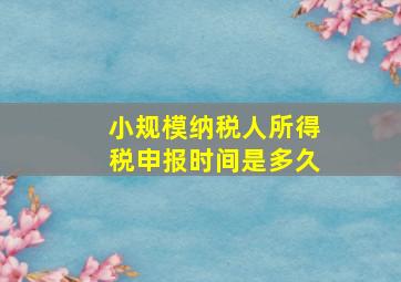 小规模纳税人所得税申报时间是多久