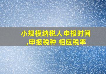 小规模纳税人申报时间,申报税种 相应税率