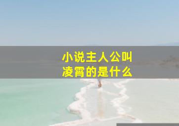 小说主人公叫凌霄的是什么