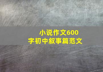 小说作文600字初中叙事篇范文