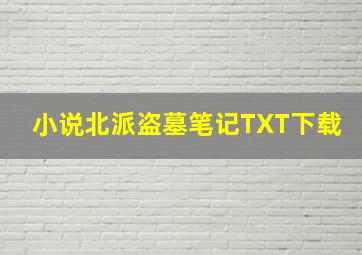 小说北派盗墓笔记TXT下载