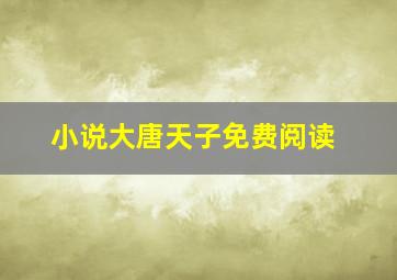 小说大唐天子免费阅读