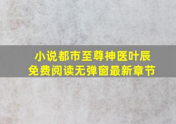 小说都市至尊神医叶辰免费阅读无弹窗最新章节