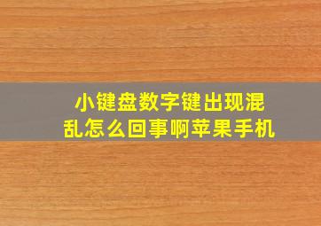 小键盘数字键出现混乱怎么回事啊苹果手机