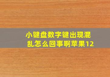 小键盘数字键出现混乱怎么回事啊苹果12