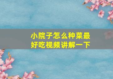 小院子怎么种菜最好吃视频讲解一下