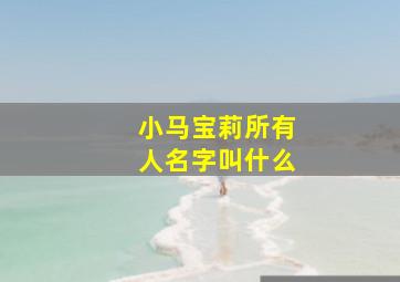 小马宝莉所有人名字叫什么