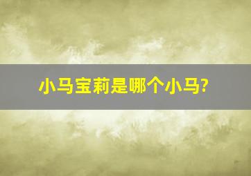 小马宝莉是哪个小马?