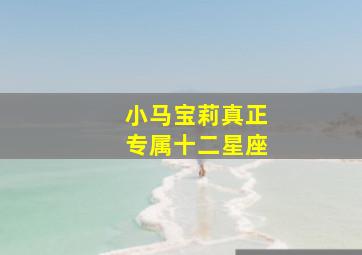 小马宝莉真正专属十二星座