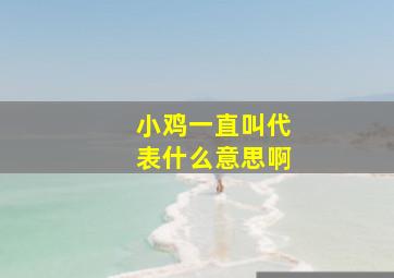 小鸡一直叫代表什么意思啊