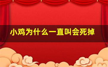 小鸡为什么一直叫会死掉