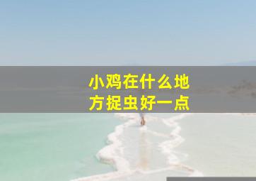 小鸡在什么地方捉虫好一点