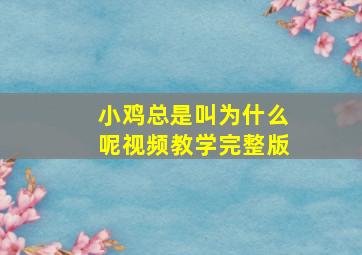 小鸡总是叫为什么呢视频教学完整版