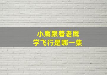 小鹰跟着老鹰学飞行是哪一集